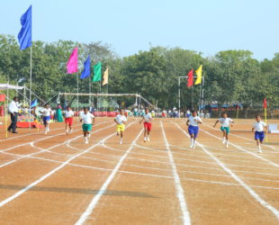 Sports Gallery Image 4