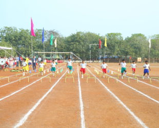 Sports Gallery Image 5