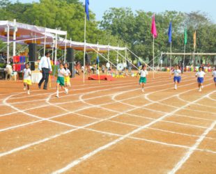 Sports Gallery Image 6