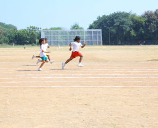 Sports Gallery Image 7