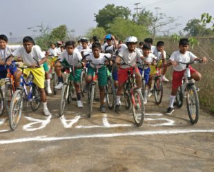 Sports Gallery Image 8